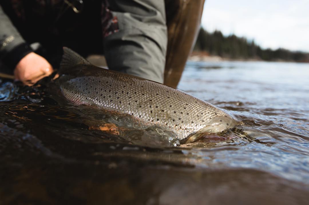 Oregon Coast Fishing