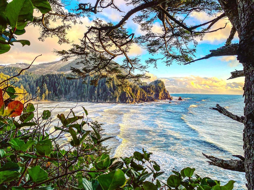 The Oregon Coast Trail: The Best, Biggest Beach Walk of Your Life